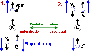 Zerfall polarisierter Müonen