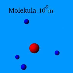 wpe11.jpg (5317 bytes)